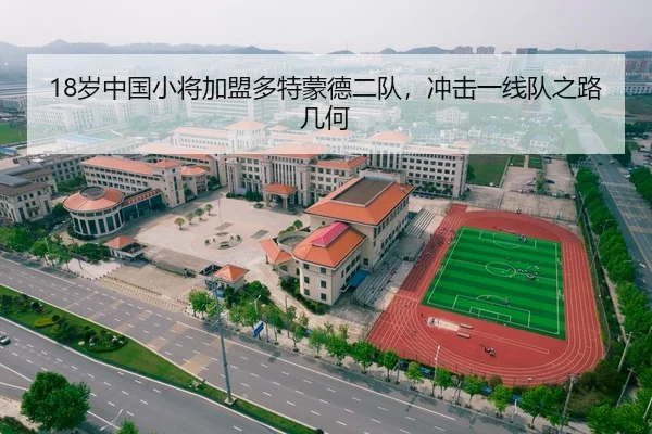 18岁中国小将加盟多特蒙德二队，冲击一线队之路几何